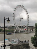 img_8800