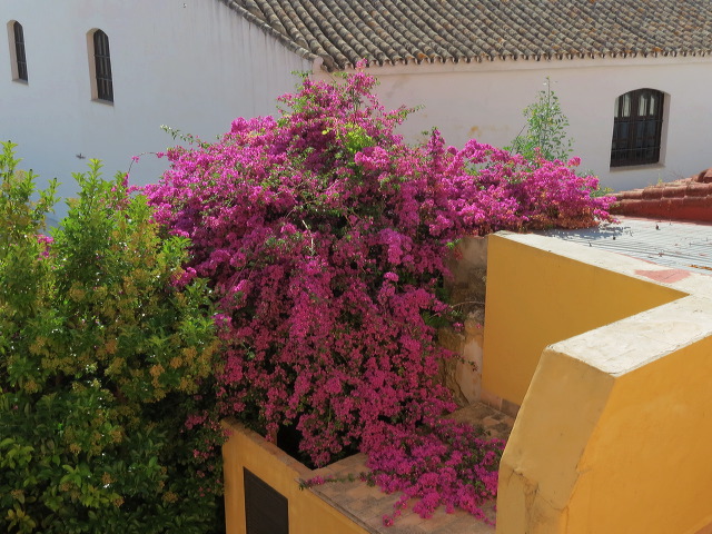 img_2012_2864.jpg