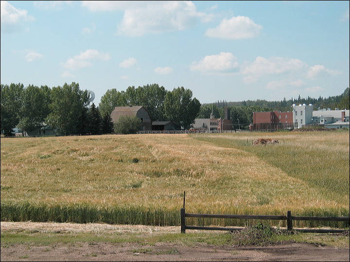 img_0285.jpg