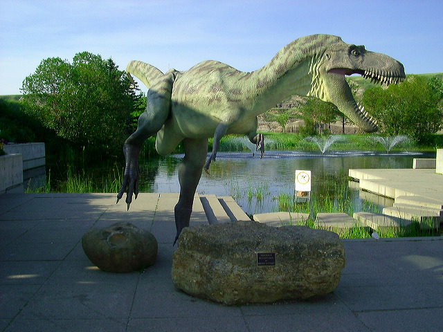 imgp6007.jpg