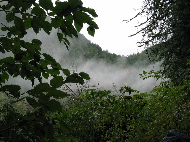img_2005_3381.jpg