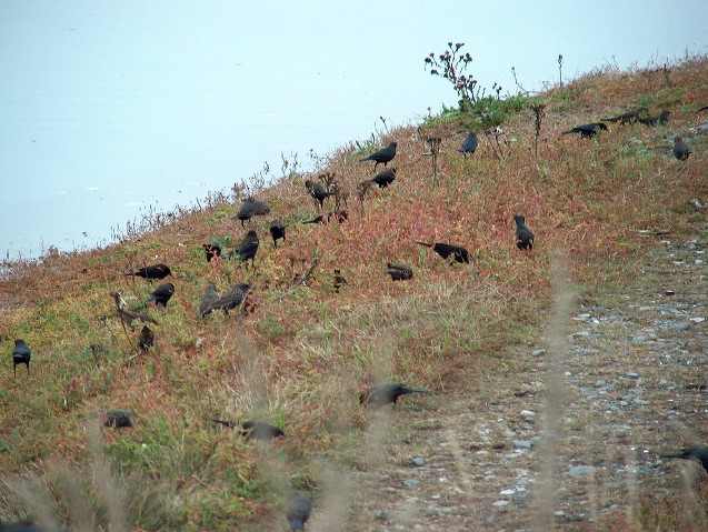 img_2005_3711.jpg