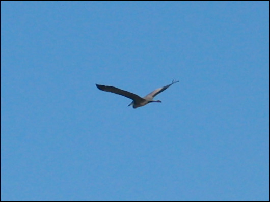 img_5891.jpg