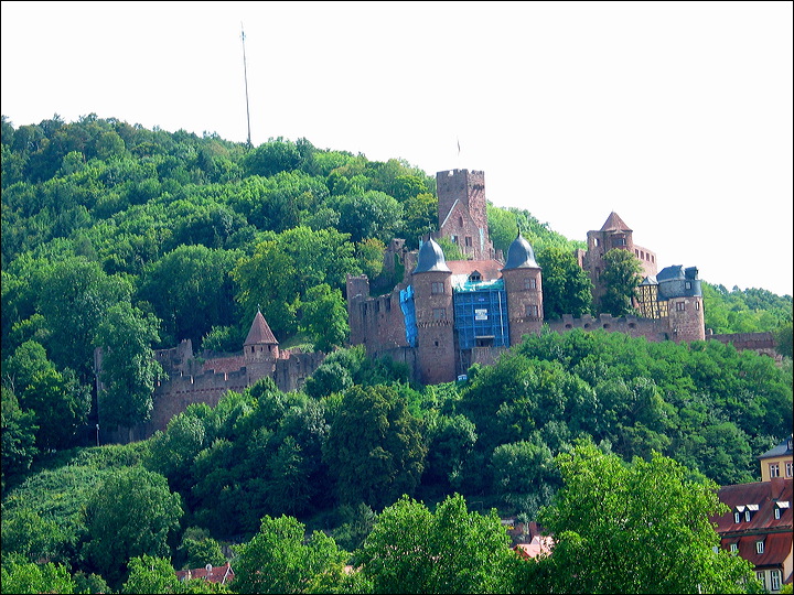 img_6254.jpg