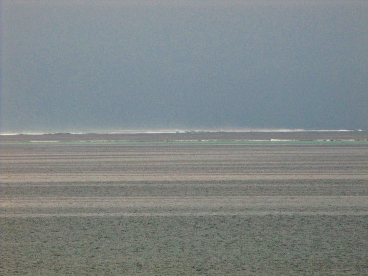 img_3793.jpg