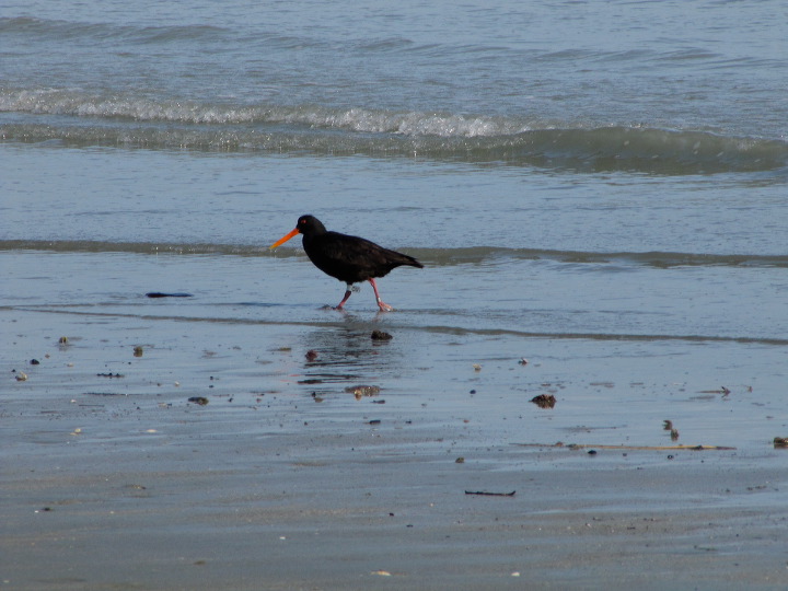 img_5307.jpg