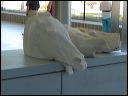 img_2012_09_04__athens_0200