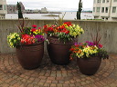 img_2011_10153