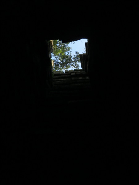 img_2016_8669.jpg