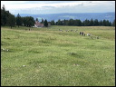 img_2024_4509