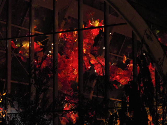 img_2013_0594.jpg