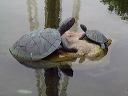 img_2013_0630