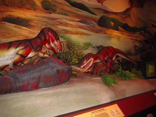 img_2013_0624.jpg