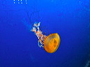 img_2013_0953