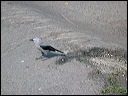 img_0192