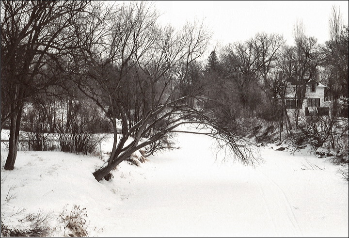 03-01-30_01_sturgeon_creek.jpg