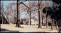 03-02-07_01_graceland_gnds