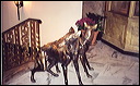 03-02-08_05_peabody_statues