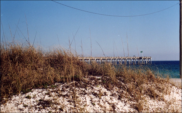 03-02-11_05_pensecola_beach.jpg