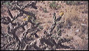 03-03-09_07_carlsbad