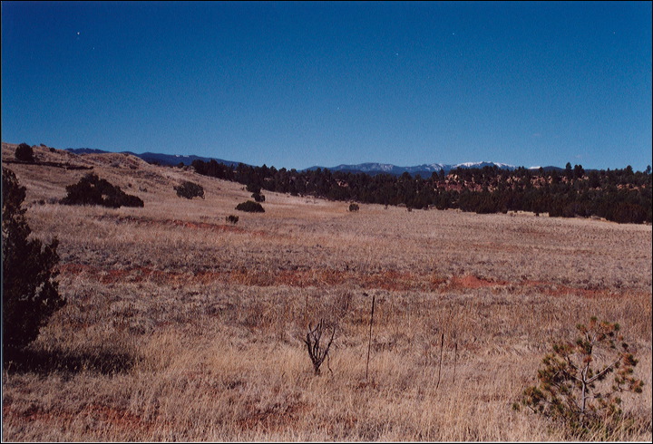 03-03-11_01_pecos_nat_park.jpg