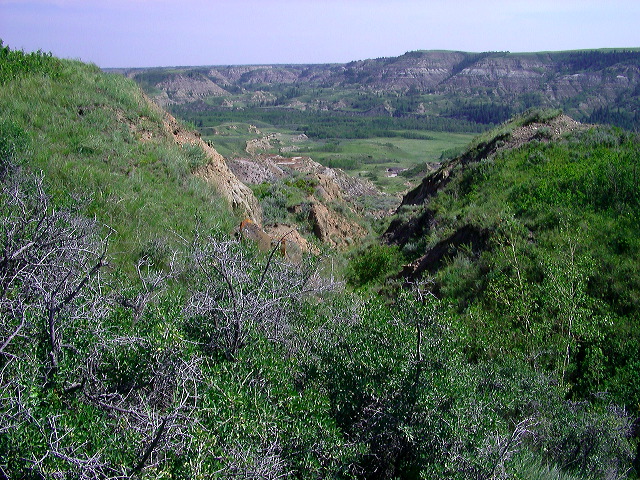 imgp5984.jpg