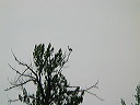 img_2945