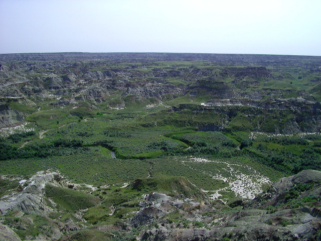 imgp6064.jpg