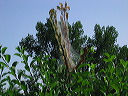 img_3076