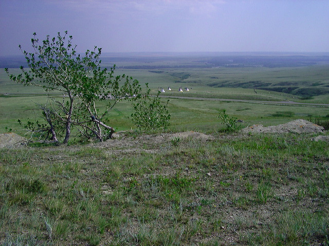 imgp6165.jpg