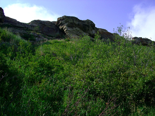 imgp6182.jpg