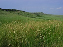 img_3186