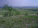 imgp6165