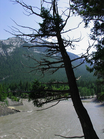 img_3211.jpg