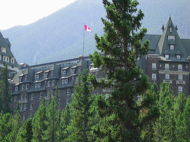 img_3214.jpg