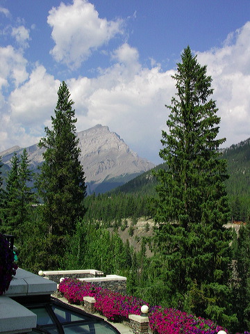 img_3252.jpg