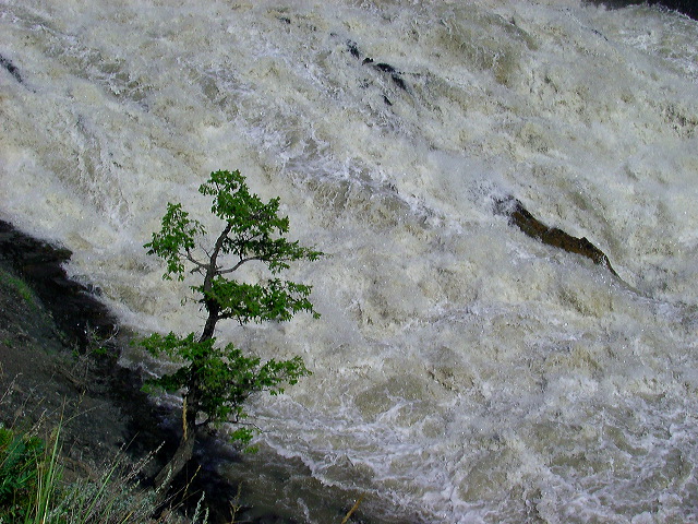 imgp6206.jpg