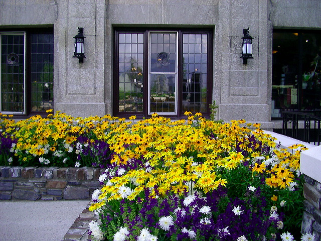imgp6242.jpg
