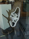 img_3275