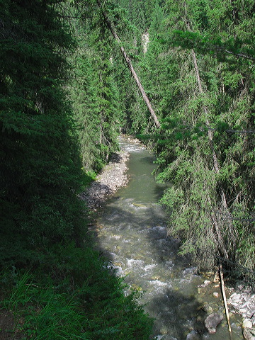 img_3352.jpg