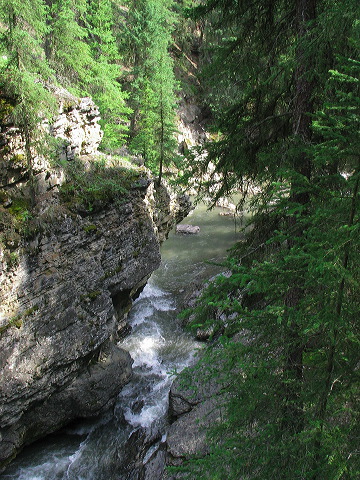 img_3354.jpg