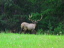 img_3558