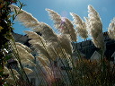 img_2005_2190
