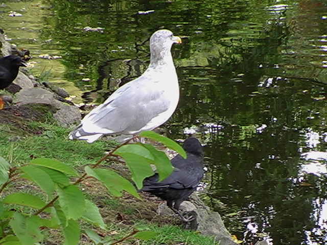 img_2005_2219.jpg