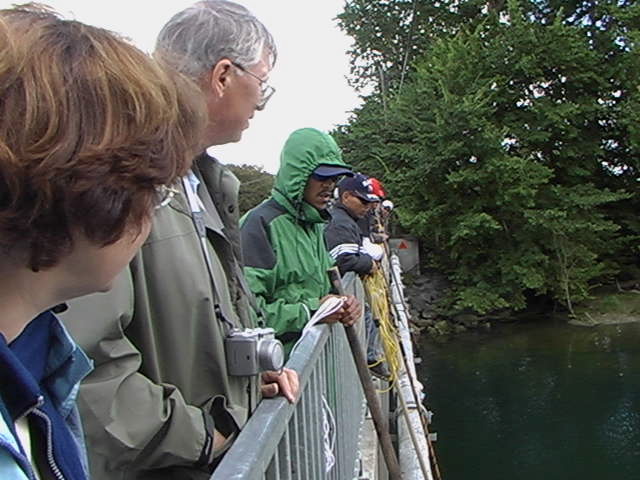 img_2005_2305.jpg