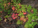 img_2005_2457