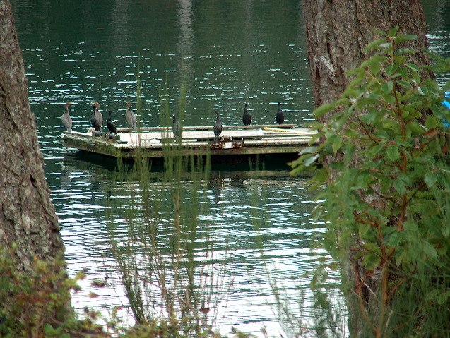 img_2005_2460.jpg