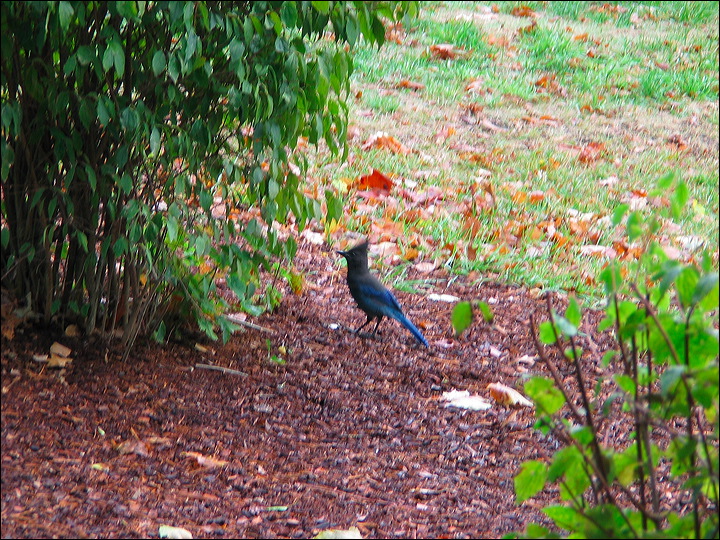 img_8916.jpg
