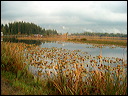 hpim6750