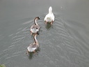 img_2005_2548